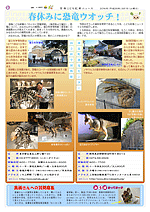 第57号うら面